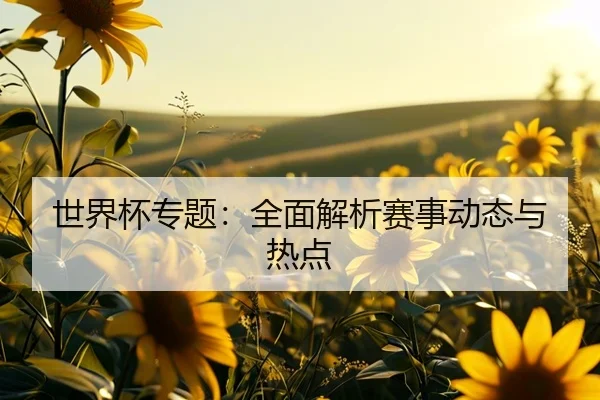 世界杯专题：全面解析赛事动态与热点